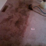 Monrovia carpet cleaning